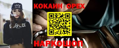мдпв Кингисепп