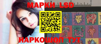 мдпв Кингисепп