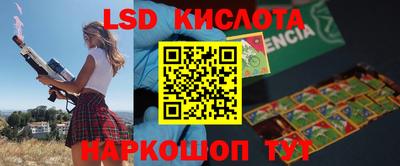 мдпв Кингисепп