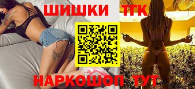 мдпв Кингисепп