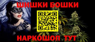 мдпв Кингисепп