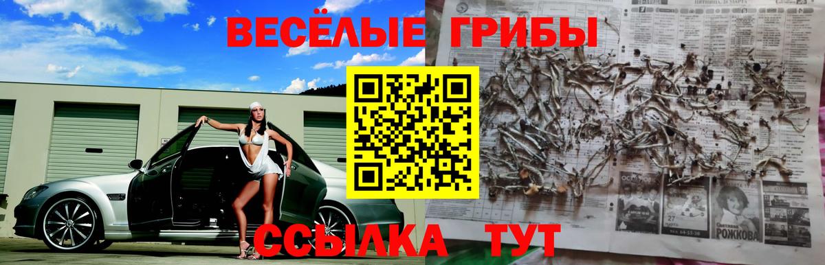 где купить наркотик  Псилоцибиновые грибы мицелий  Вход с VPN  Пермь  Галлюциногенные грибы Psilocybe 