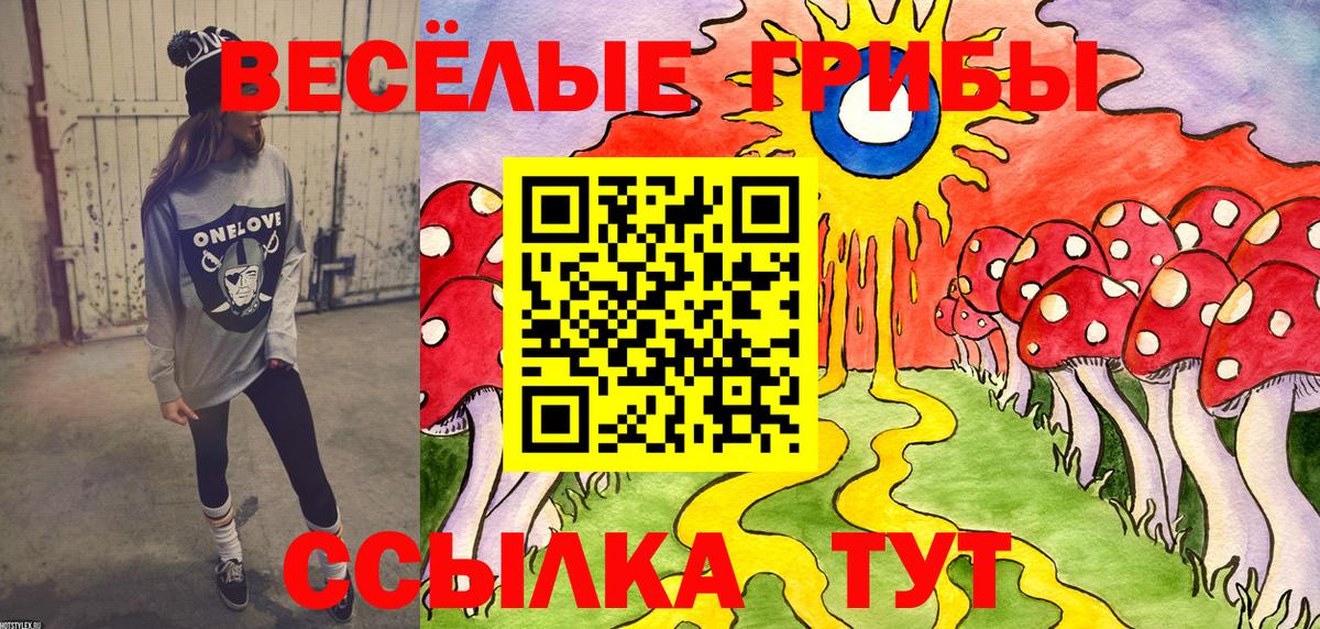 Галлюциногенные грибы GOLDEN TEACHER Пермь